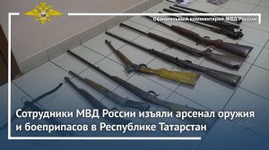 Ирина Волк: Сотрудники МВД России изъяли арсенал оружия и боеприпасов в Республике Татарстан