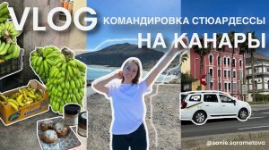 Командировка в Испанию, анализы в Стамбуле, цены