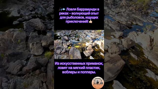 Ловля Баррамунди в реках – волнующий опыт для рыболовов, ищущих приключений!