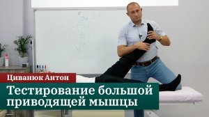 Тестирование большой приводящей мышцы. Циванюк Антон