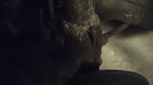лада гранта замена передней пружины