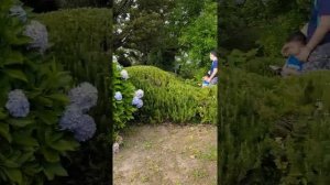 Отдых в Корее с детьми. Чеджудо. Парк динозавров 제주 공룡랜드. Наша семейная жизнь в Южной Корее