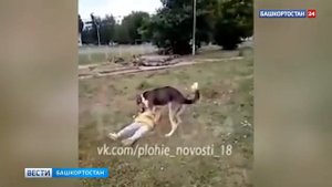 На девушку напала собака 😱😱😱