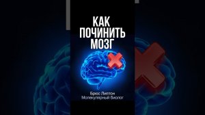 Измените свой мозг за 20 минут с техникой Брюса Липтона