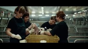 Агропромкомплектация