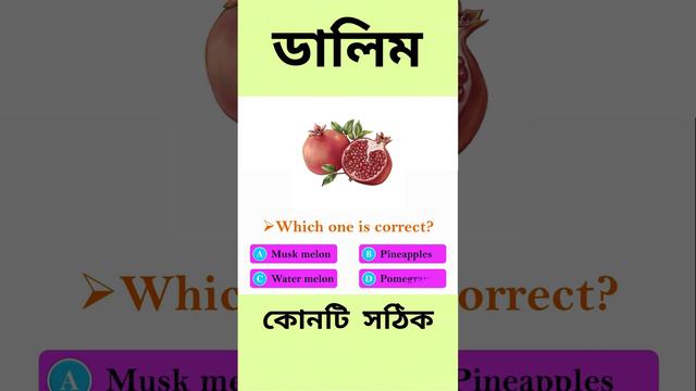 ডালিম এর ইংরেজি কি #Vocabulary #FruitsName