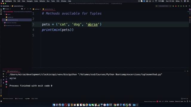 43   tuple methods in python | Python For Absolute Beginners