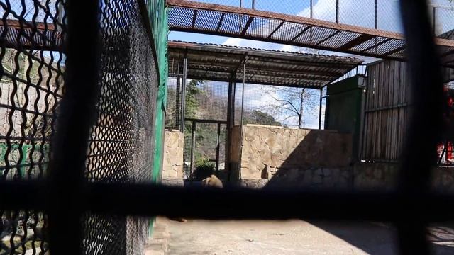 Сказка: Легенда показала свой истинный характер! смотреть онлайн