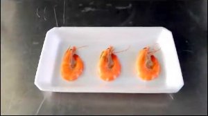 ВАКУУМ УПАКОВОЧНАЯ МАШИНА, ОБОРУДОВАНИЕ СКИН УПАКОВКИ