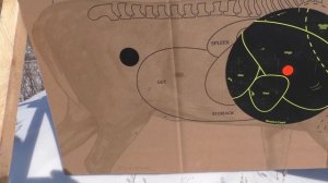 Антонио Золи 243win! Стреляем на 200 и 300 метров! Снайперам не смотреть!