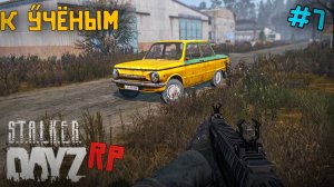 ДОРОГА К УЧЕНЫМ И НОВЫЙ КОНЬ. DAYZ STALKER RP 7 серия