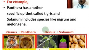 V-081-QP-029-BOTANY-ENGLISH - Plant Taxonomy - part-1- 5.1-5.2 for NEET - TRB - +1 and +2 Students