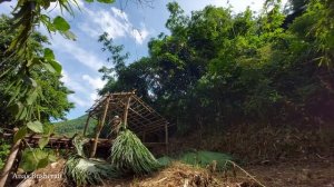 OFF GRID - The Girl Builds all bushcraft Natural Shelter in the rainforest - 200 days living alone