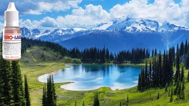 Феро Макс от компании AURORA смотреть онлайн