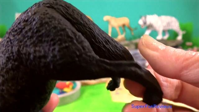 Big Cat Week - Zoo Animals - Tiger Cheetah Wolves, White Tiger, Wolf 13+ смотреть онлайн