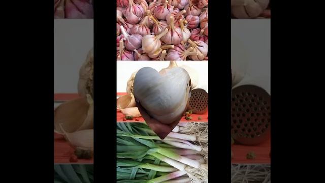 Эти продукты разжижают кровь. Смотри до конца смотреть онлайн