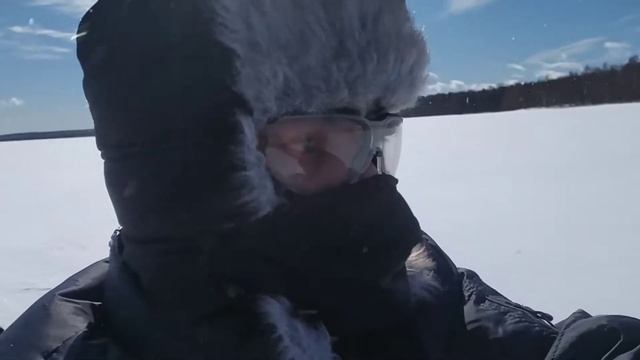 Мухтар 7      5 апреля 2020 г. смотреть онлайн