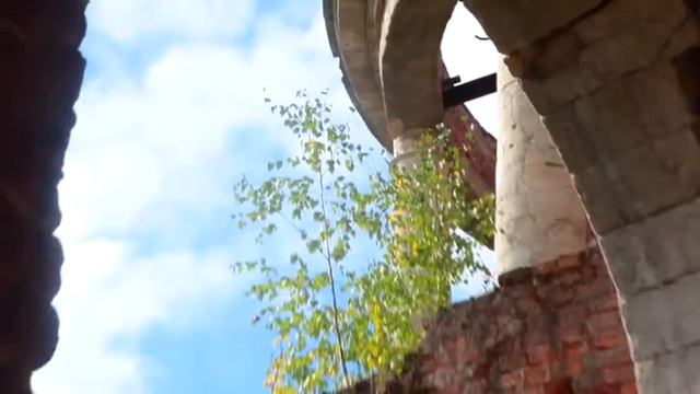 Проект "Забытое графство" смотреть онлайн