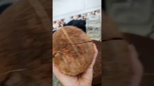 Как легко и ровно открыть кокос. самый простой способ. Мякоть легко отделяется от скорлупы