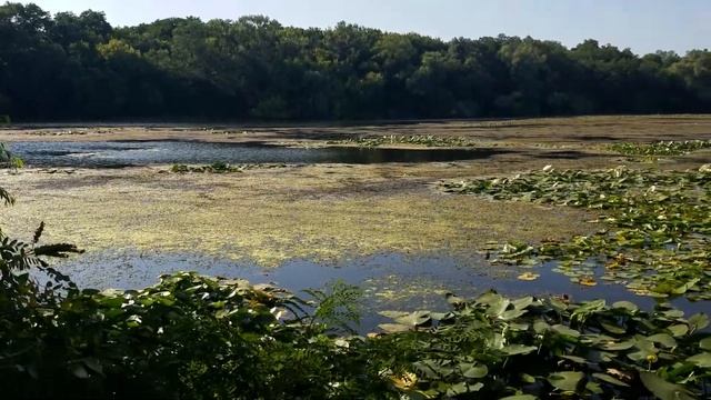 Тест основной камеры Samsung Galaxy S7 1080p 60fps/ Test camera samsung Galaxy S7 Video 1 смотреть онлайн