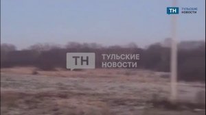 В Алексинском районе водитель легкового автомобиля сбил лося