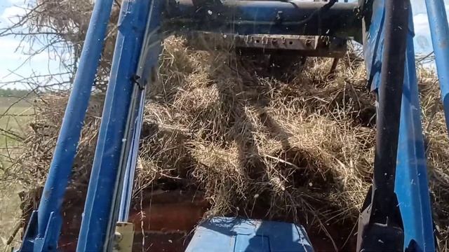 Мтз-80 и Мтз-82. Зачищаем поле после корчевания смотреть онлайн