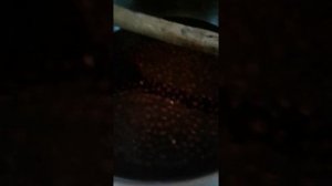 Варенье из дикой вишни?