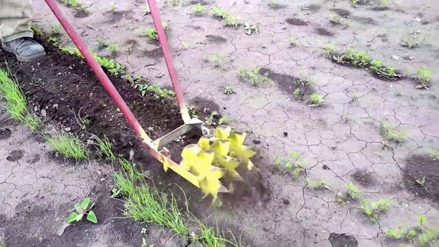 ПРАКТИЧНЫЙ КУЛЬТИВАТОР-ПЛОСКОРЕЗ(ручной) В РАБОТЕ. ПРОПОЛКА МЕЖДУРЯДИЙ. БОРЬБА С СОРНЯКАМИ.