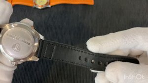 Обзор часов Восток Амфибия Риф 080