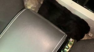 подлокотник бокс на ниву ?какой выбрать