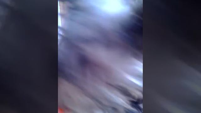 моё самое тупое видео про собаку смотреть онлайн