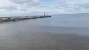 Кучугуры Прогулка по побережью Азовского моря