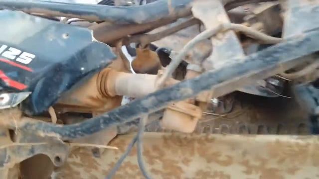 Электро проводка на мопед альфа смотреть онлайн