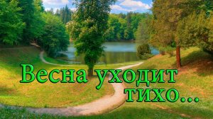 Весна уходит тихо*  Мой сад