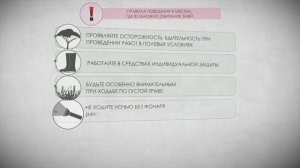 Первая помощь при укусах насекомых, змей, животных