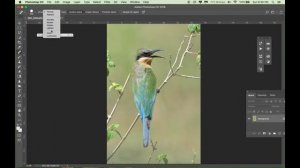 how to remove dust sensor at the picture in photoshop, basic tutorial in bahasa Malaysia