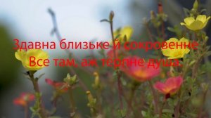 Мамина вишня - КАРАОКЕ