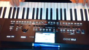 Марина Журавлёва Korg pa 300