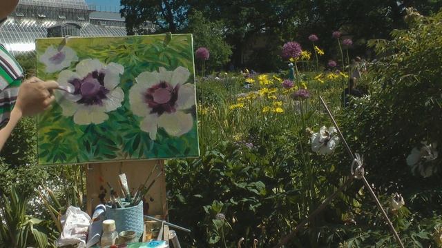 Белый пион древовидный маслом поэтапно. Пленэр.Peony tree.Picture