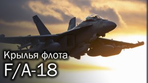 F/A-18 Hornet - шершень для авианосца