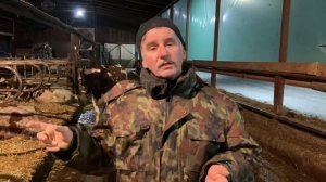 КФХ, ЛПХ, ИП, ООО