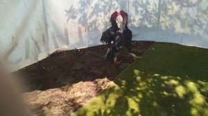 измирчик кидович 3раунд