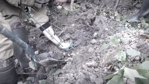 ПОИСК БОЙЦОВ КРАСНОЙ АРМИИ/КОП ПО ВОЙНЕ/ПОИСКОВЫЙ ОТРЯД "ВОСТОК"/ОНИ СРАЖАЛИСЬ ЗА РОДИНУ #вов#ww2