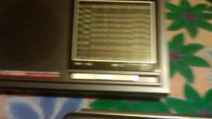Tecsun R-9700DX&Degen DE-1107(Ritmix RPR-7010)