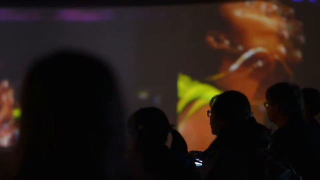 ESVD/ECVD LAUSANNE CONGRESS 2017 смотреть онлайн