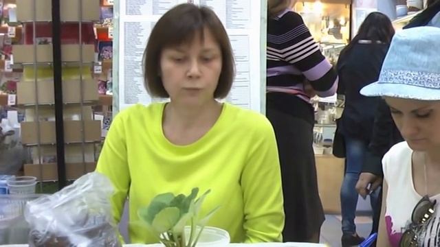 ДФ.Опыт выращивания сенполий. О.Ивашкина