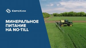 МИНЕРАЛЬНОЕ ПИТАНИЕ ЗЕРНОВЫХ НА ТЕХНОЛОГИИ No-Till