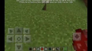 В майнкрафт пи добавили новых животных из реальной жизни ➡ Аддоны Minecraft PE