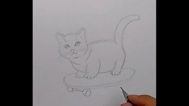 Как нарисовать котика на скейте