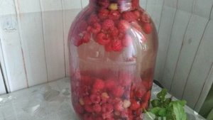 Компот из малины с мятой на зиму в 3-х литровых банках